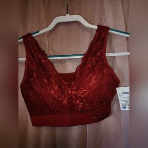 New LG. Daisy Fuentes Lace Bra